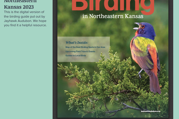 Jayhawk Audubon - Magazine and Bird Guide