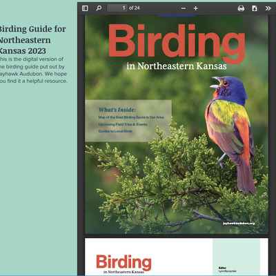 Jayhawk Audubon - Magazine and Bird Guide