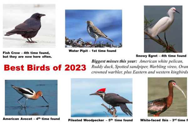 2023 Birdathon report - Jim Koelliker