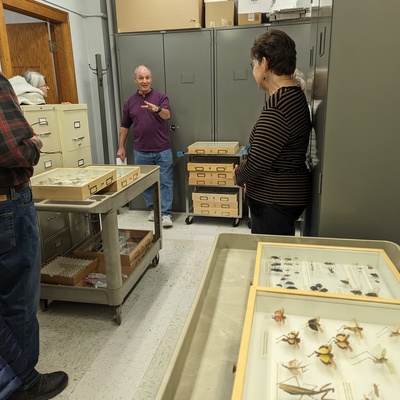 Feb. 22, KSU Insect Collection